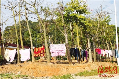 公园绿地晒衣被 有碍观瞻|小区|物业