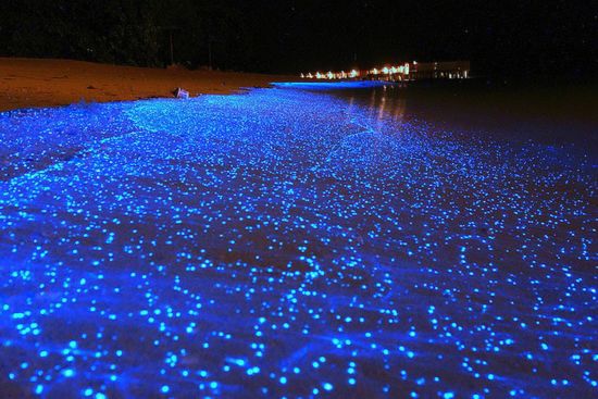 感受马尔代夫夜晚神奇"星空海滩"图片