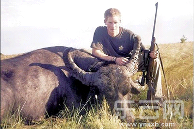 刚宣传完保护动物就去打猎|威廉|哈里