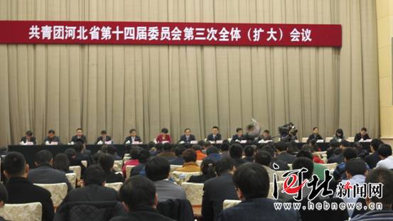 共青团河北省委十四届三次全会召开 部署今年