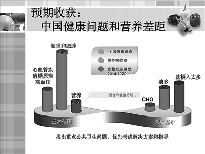 中国居民营养与健康现状PPT
