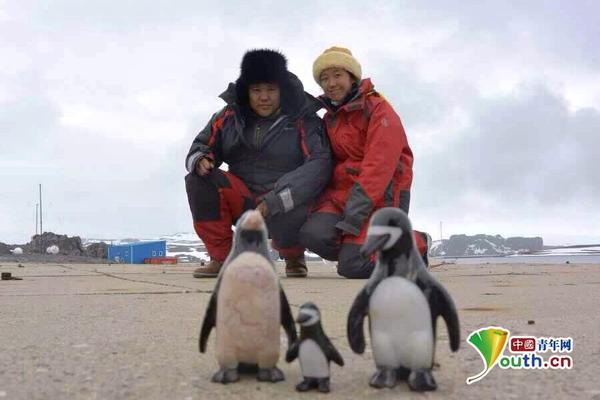 北京青年驾驶帆船南极结婚 多国元首送上祝福|梁红|张昕宇_凤凰资讯