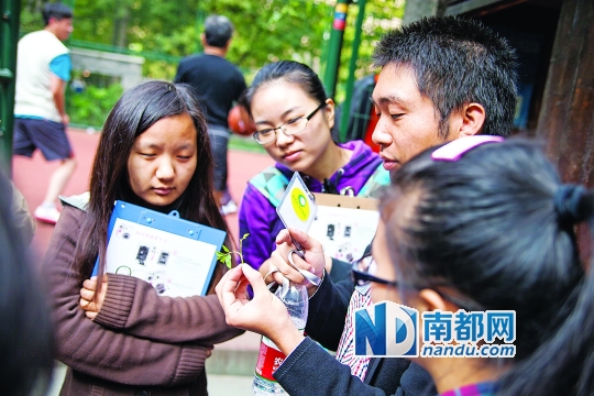 全民植物地图 手绘绿色上海|地图|公园