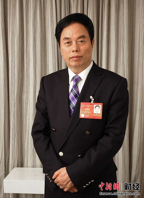 全国人大代表、波司登集团董事长高德康接受中新网财经频道专访。 刘博 摄