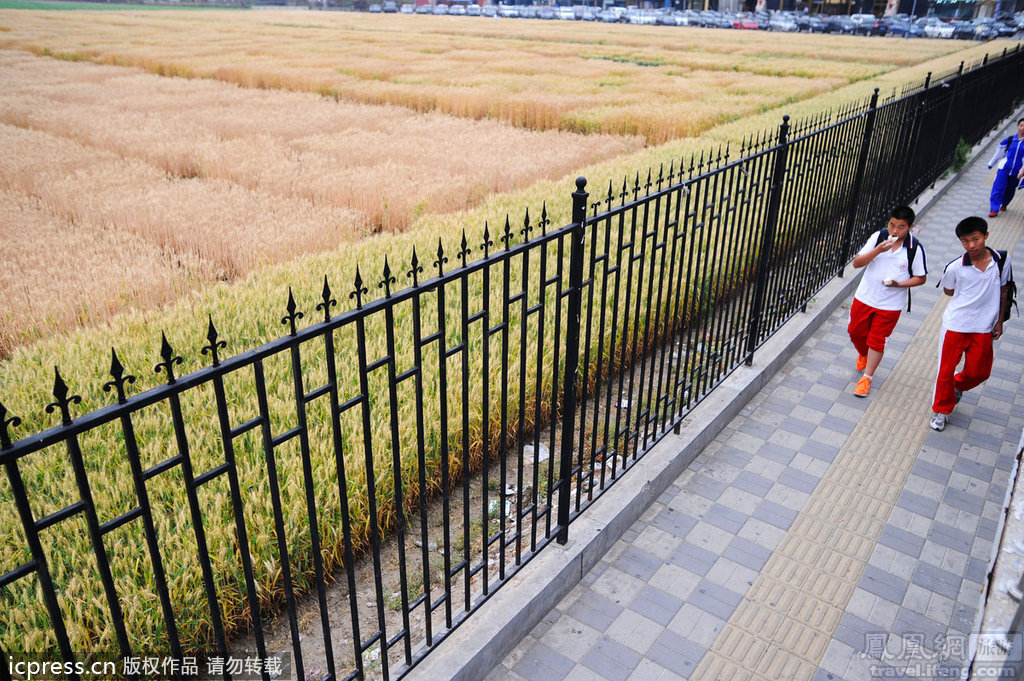 想知道: 北京市 北京市通州区永顺镇范庄 机动车