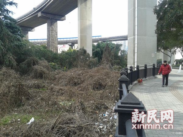 苗圃演员_人均公共绿地 苗圃学(2)