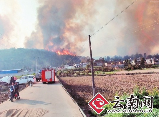 记者从省森林防火指挥部获悉,截至前日23时10分,经过军警民2780人的全力扑救,发生在腾冲县腾越镇云山社区河外村小组的森林火灾明火全部扑灭,已经转入火场清守阶段。据初步调查,火场过火面积在53公顷左右,起火原因系当地村民烧地用火不慎引发,嫌疑人已被森林公安部门控制。 春城晚报 记者 崔敏 通讯员 杨从宇 张启义 摄影报道