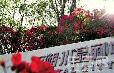 龙湖 水晶郦城 为昆明打造一抹浓荫|龙湖|置业者