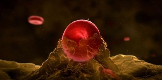 美最新研究:减少血液铜含量能 饿死 癌细胞|黑色