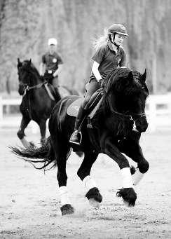 北京国际马术大师赛 下月再度登陆鸟巢|世界杯