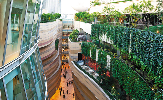 城市规划应该由景观设计师做主导|城市规划|绿