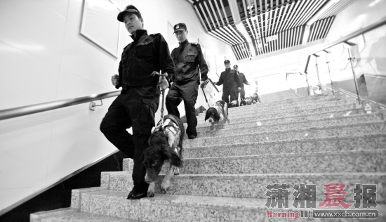 消防、急救人员,地铁民警:搬运重伤伤员。