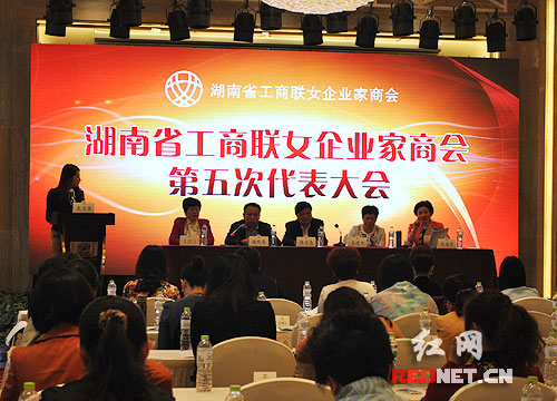 湖南省<em>工商联女企业家</em>商会换届 吴建平当选为