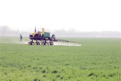 山东、安徽农村土地承包经营权流转调查(上)|农