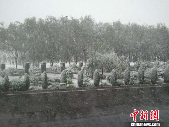 当天早晨，山西忻州、朔州一带突然降雪。　网友提供摄
