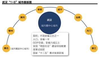 1+8城市圈:在路上的第十年|武汉|胡树华