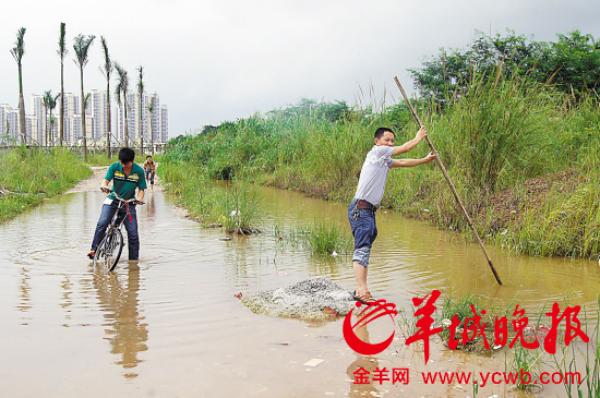 工人上班经常通行这条简易路