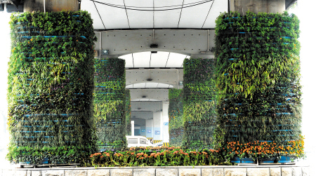 韶山路在绿化提质过程中，对东塘立交桥、桔园立交桥、广济桥和韶山路沿线墙面、裙楼楼顶、阳台及护栏实施立体绿化，告别了曾经的“水泥森林”形象。