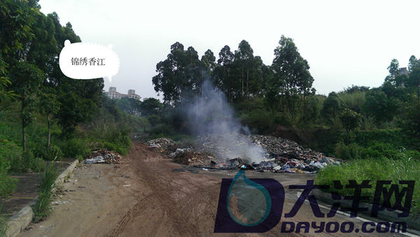 垃圾焚烧现场（本文图片均为爆料者提供）