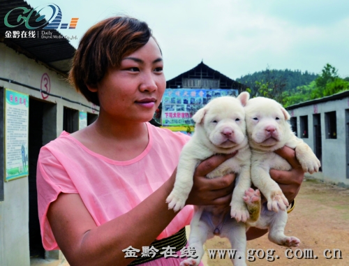 龙明燕抱着可爱的下司幼犬。