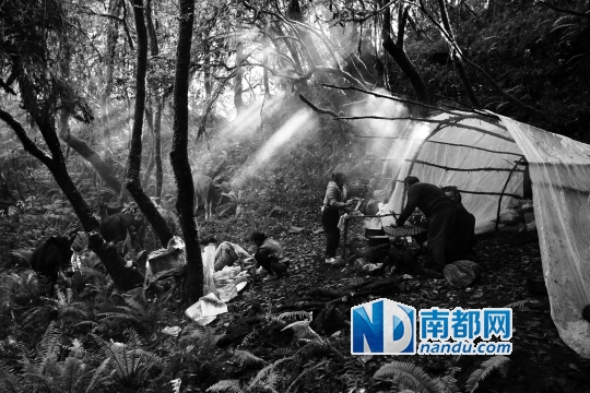 夕阳中的炊烟。