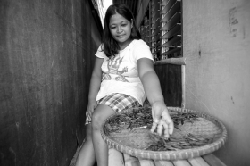 距离菲律宾首都马尼拉250公里的马辛洛克镇,一妇女正在挑选好的辣椒,当地人因为在海边湿气重,也有吃辣椒的习惯。 图/记者华剑