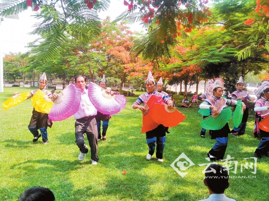 每天都有不少市民到幸福大草原载歌载舞