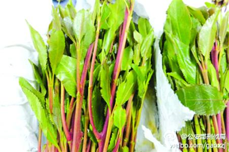 本市零星查获新精神活性物质|毒品|禁毒办