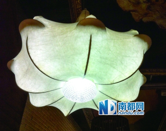 蚕蛹拟态的灯饰发出神秘而低调的光。