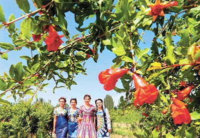 新疆喀什叶城县第八届石榴花节开幕