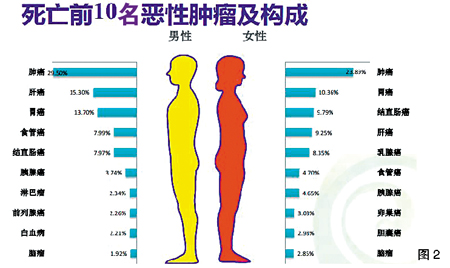 妇科癌症病区实录|医生|病人