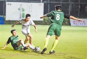 神回复|范佩西|范巴斯滕