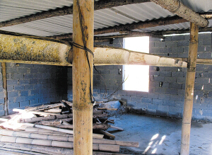 房屋用竹子做柱子，根本无法住人 都市时报记者 王宗林