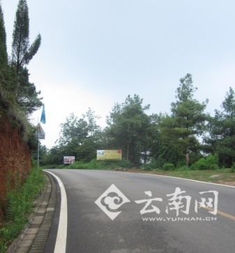 进入猫猫箐的公路上会途径很多农家乐，路上并没有人收取门票。