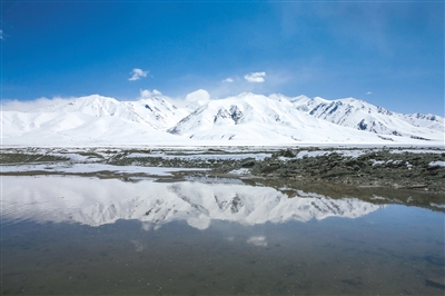f501c87c-f5cf-485e-ab4e-692a9e0f2eb9.jpg