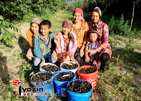 农忙时，维吾尔族邻居也经常来帮忙，郑功安很感谢他的这些好邻居。