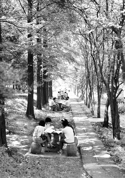 华中大经济学家群蜚声海内外|学生|校园