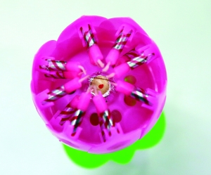 6edf7ad6-d705-4b49-8eb4-03540fc8cb23.jpg