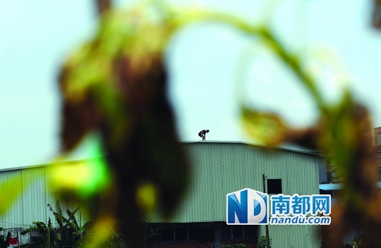 政府要强拆违建 房主不满要赔偿|村干部|村委会