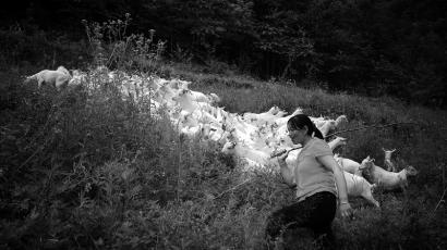 北川gdp_在西航 叮咚,泛美教育集团在川的两所中专学校待您查收(3)