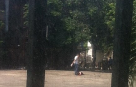 图片来自：打四黑除四害微博