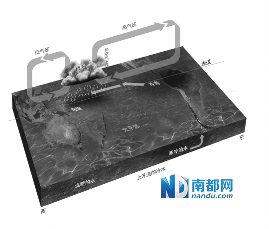 厄尔尼诺会怎样影响广东|冷空气|副热带高压