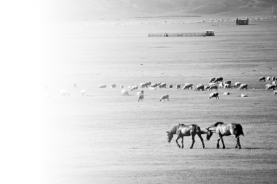 单兵口粮_中国人均口粮