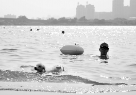 7月23日下午5时，风帆广场附近，小狗背着用矿泉水瓶做的救生圈游泳。图/实习生陈明谋