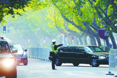 芜湖路上的法梧很茂盛(资料图片)