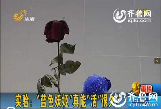 79436f2b-1c14-4219-9503-d6894789cc32.jpg