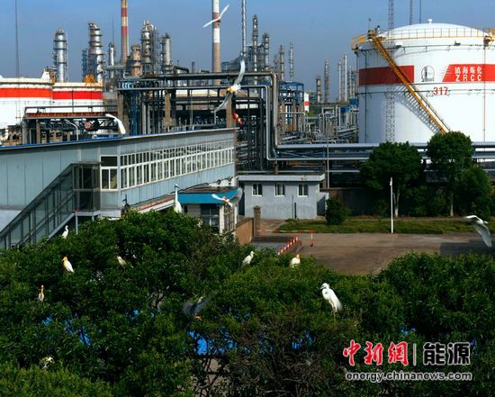 中国石化镇海炼化装置区的"百鹭园.