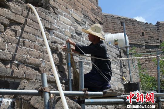 工人在金山岭长城修缮工程现场修复破损的墙体。　张帆　摄