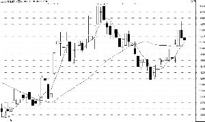 巴安水务（300262）