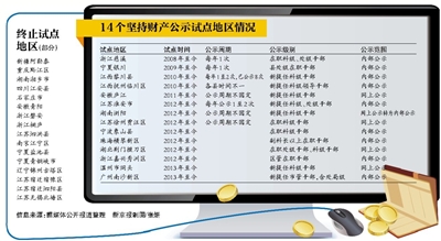 个人收入证明_个人收入报告公示(2)